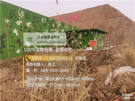 汉中星空迷彩墙施工队