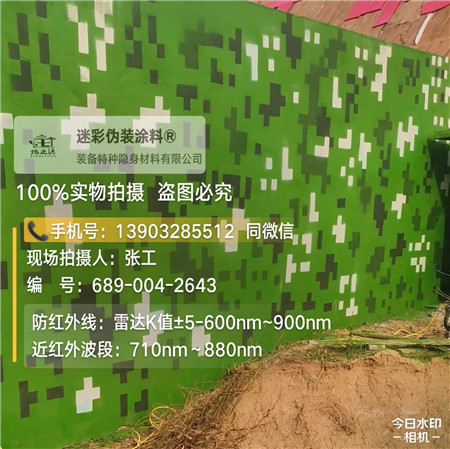 汉中星空迷彩漆，夏令营训练,数码迷彩作训墙,围墙